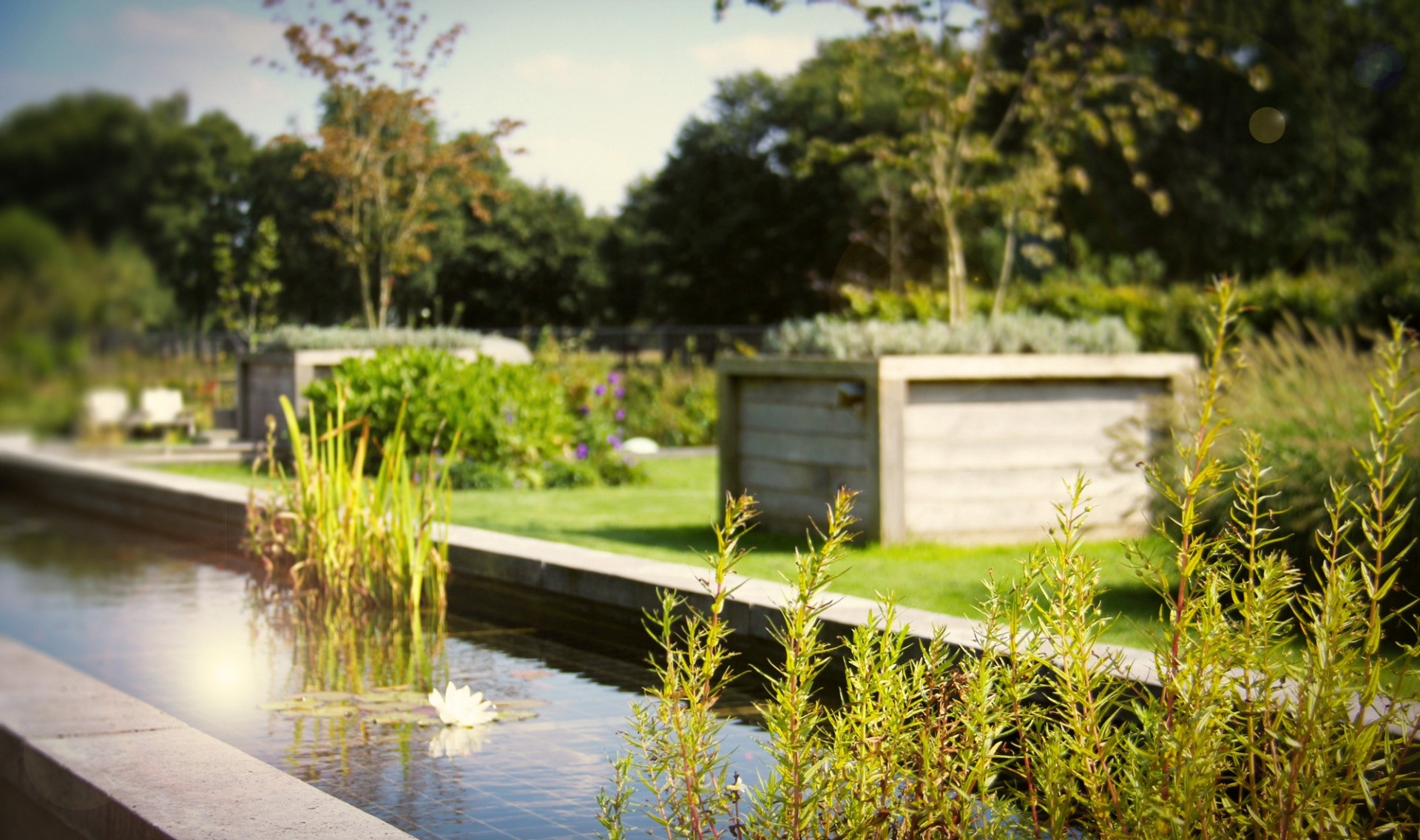 Hoveniers In Woerden: Voor Een Schitterende Tuin